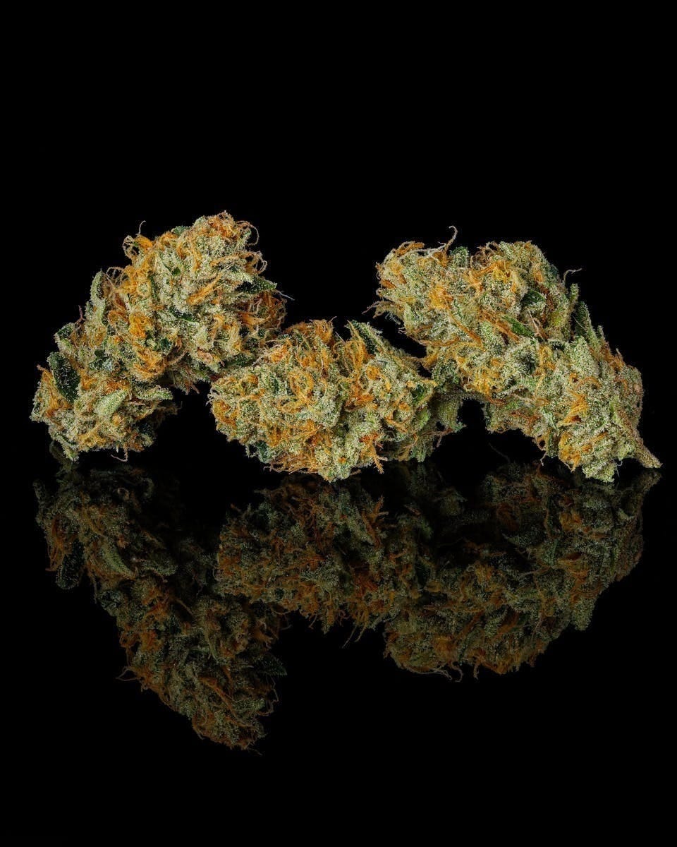 Decibel Gardens: Grape Jet Fuel