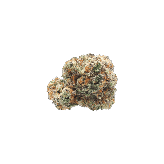 Slap N Tickle - Jar - Indoor Flower