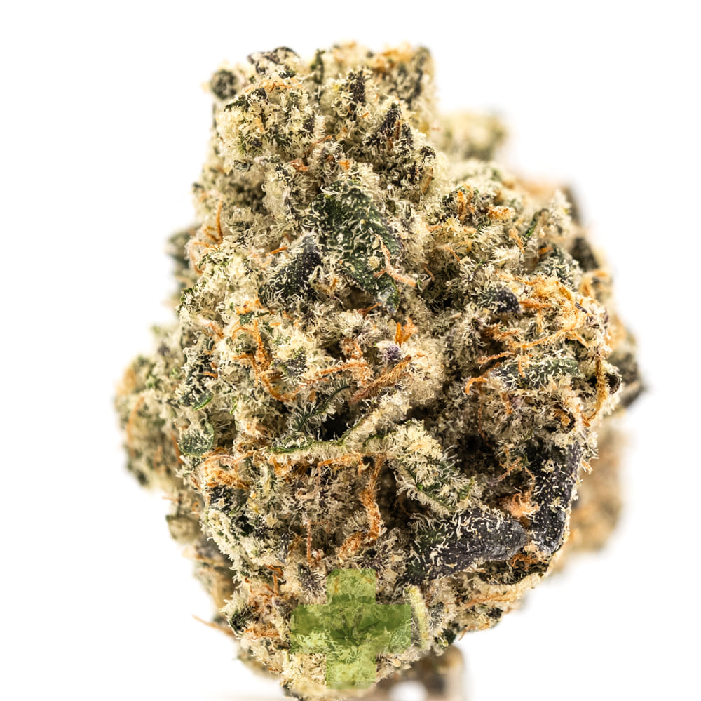 Shasta Flower & Hash Company: Canal Street Runtz