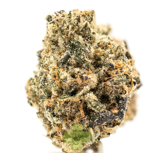 Shasta Flower & Hash Company: Canal Street Runtz