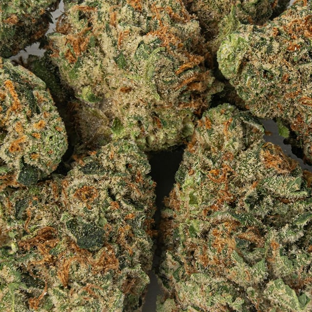 Pacific Stone | Cereal Milk | Big Buds | 1g