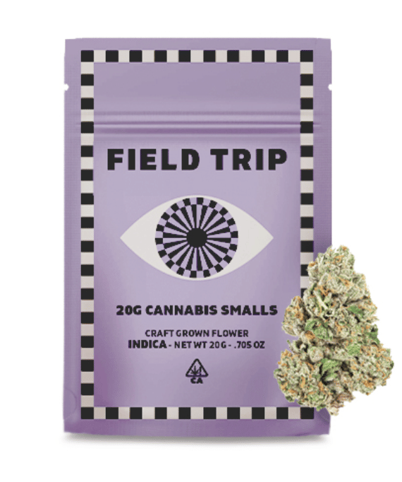 Field Trip: Super Jealous