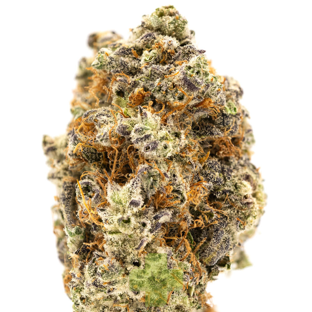 lolo: Tropical Trainwreck