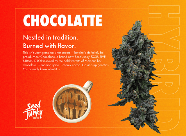 Seed Junky | 3.5g - Chocolatte - Indica