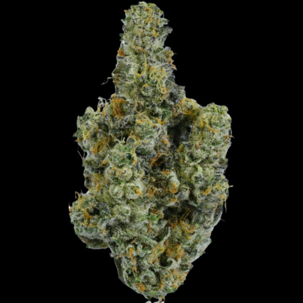 CAM: Durban Haze
