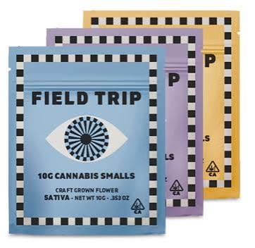 Field Trip: Gas Hauler