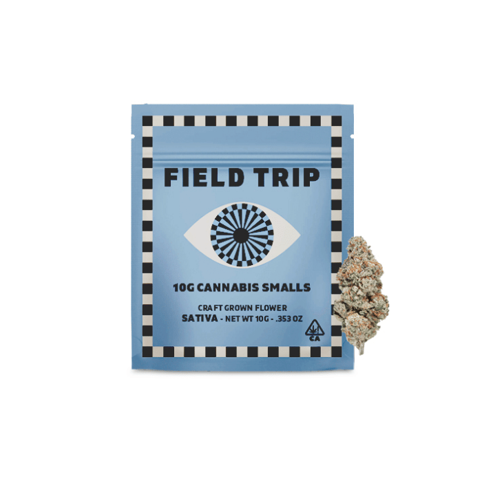 Field Trip: Sales Floor