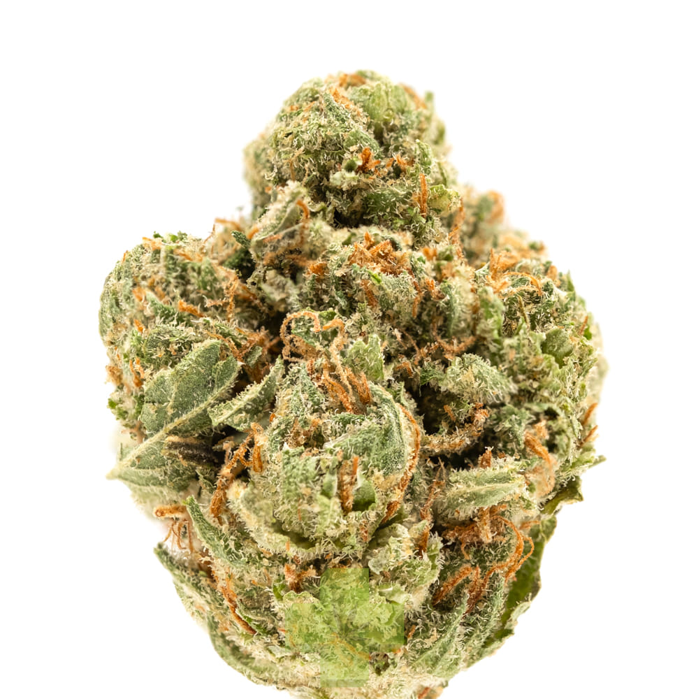 Stiiizy: Kush Mintz X Dosidos