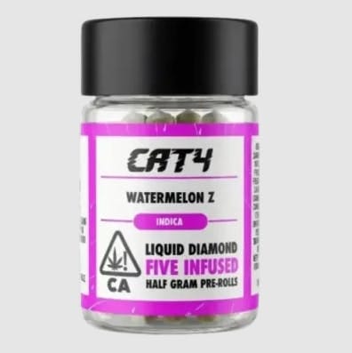 CAT4: Watermelon Z