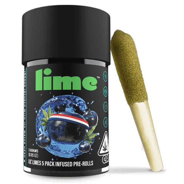 Lime: Blueberry Headband - Lil Limes