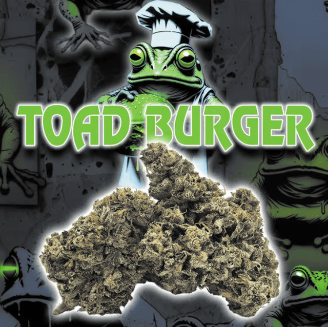 Green Dragon: Toad Burger