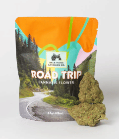 Road Trip (Rainbow Belts)'