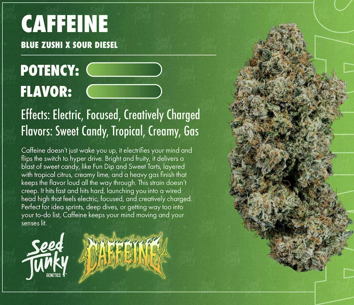 Seed Junky | 3.5g - Caffeine - Sativa - Seed Junky -  - $22.77 - Flowers