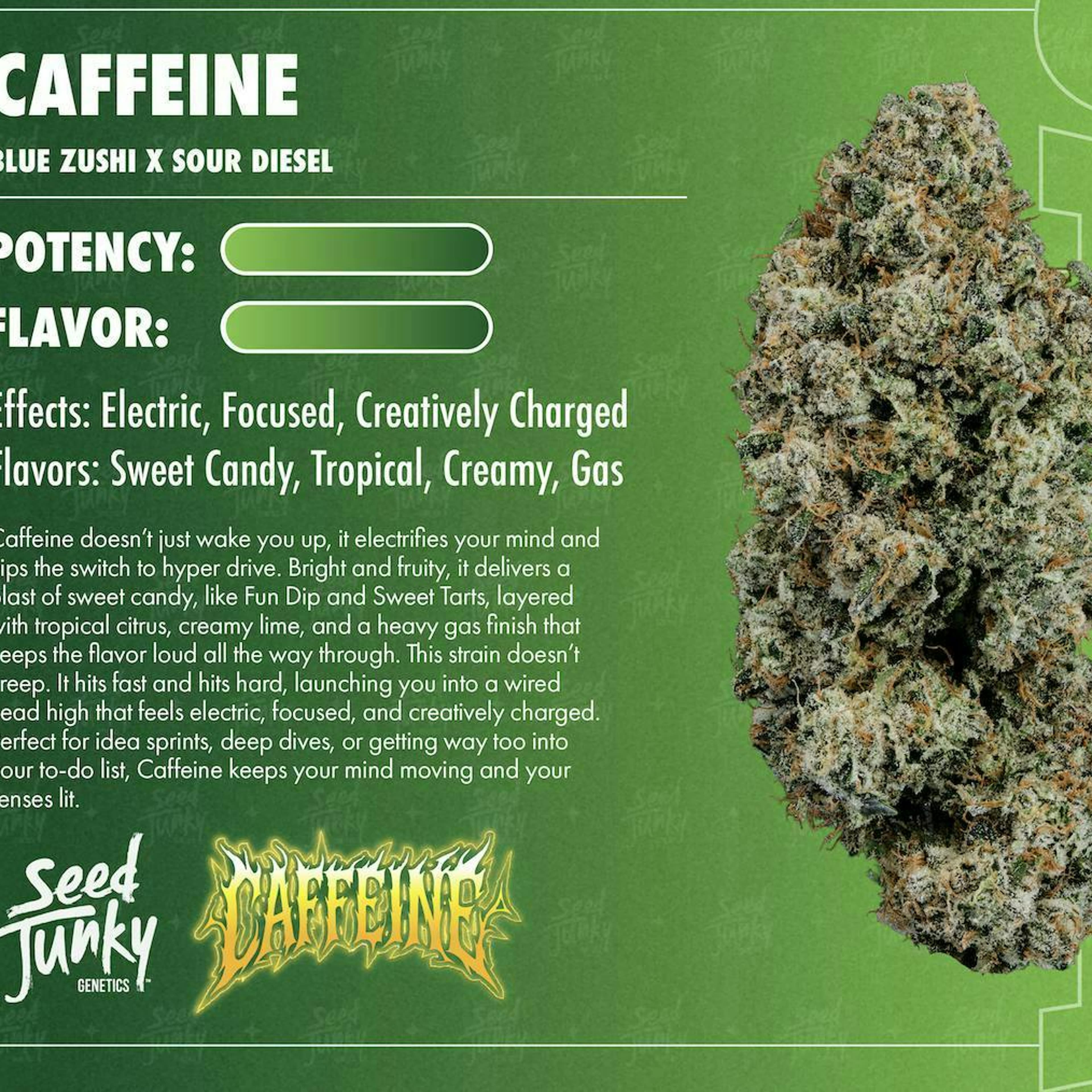 Seed Junky | 3.5g - Caffeine - Sativa - Seed Junky - - $22.77 - Flowers