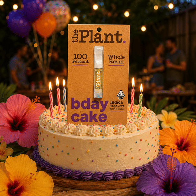 B Day Cake (I) 1g Whole Resin Cart | The Plant