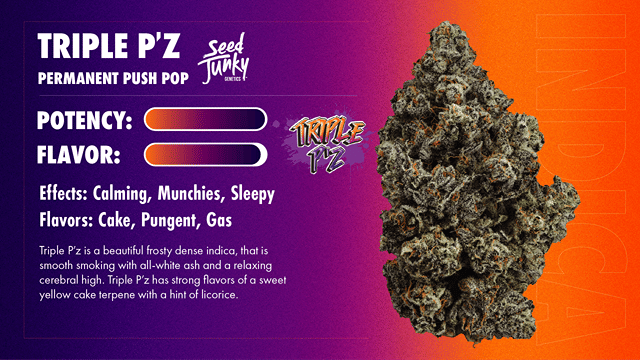 Seed Junky | Preroll Bigs -Triple P'Z - Indica