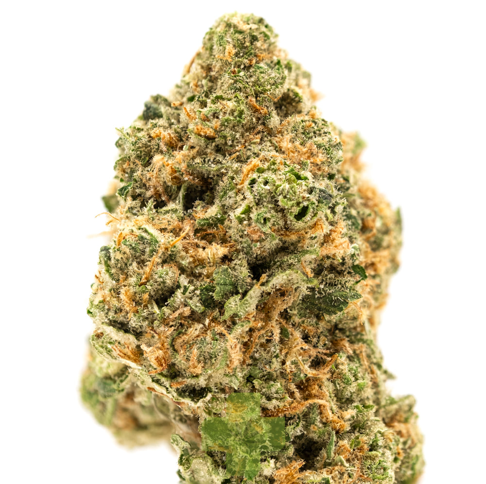 Wave Rider: Haze Berry, Sg