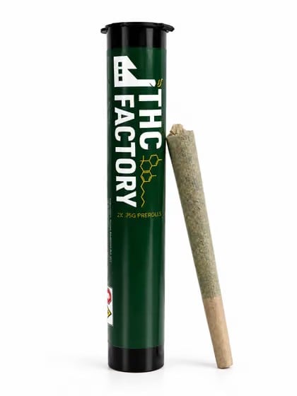 Pineapple Donut 1g Pre-Roll
