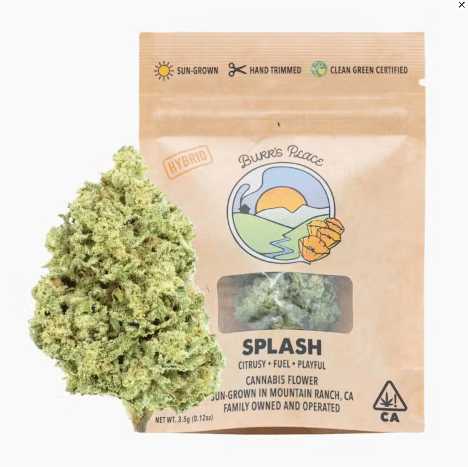 Burr's Place Organics: Splash - Bigs