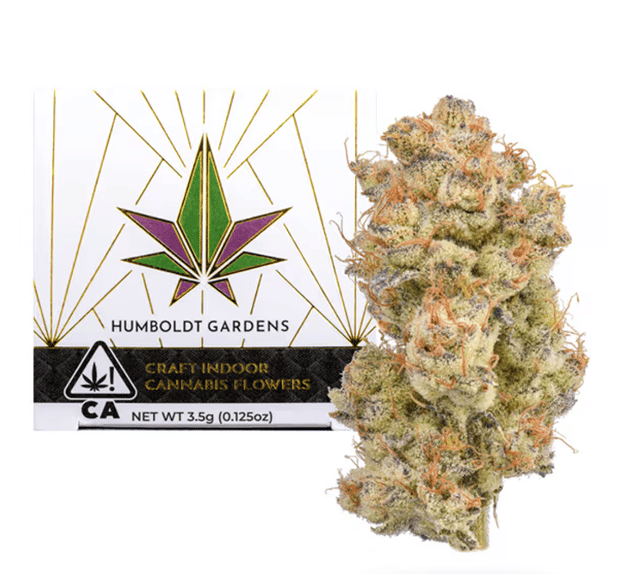 Sativa Mimosa X GMO (S) - 3.5 NorCal Craft Indoor Flower
