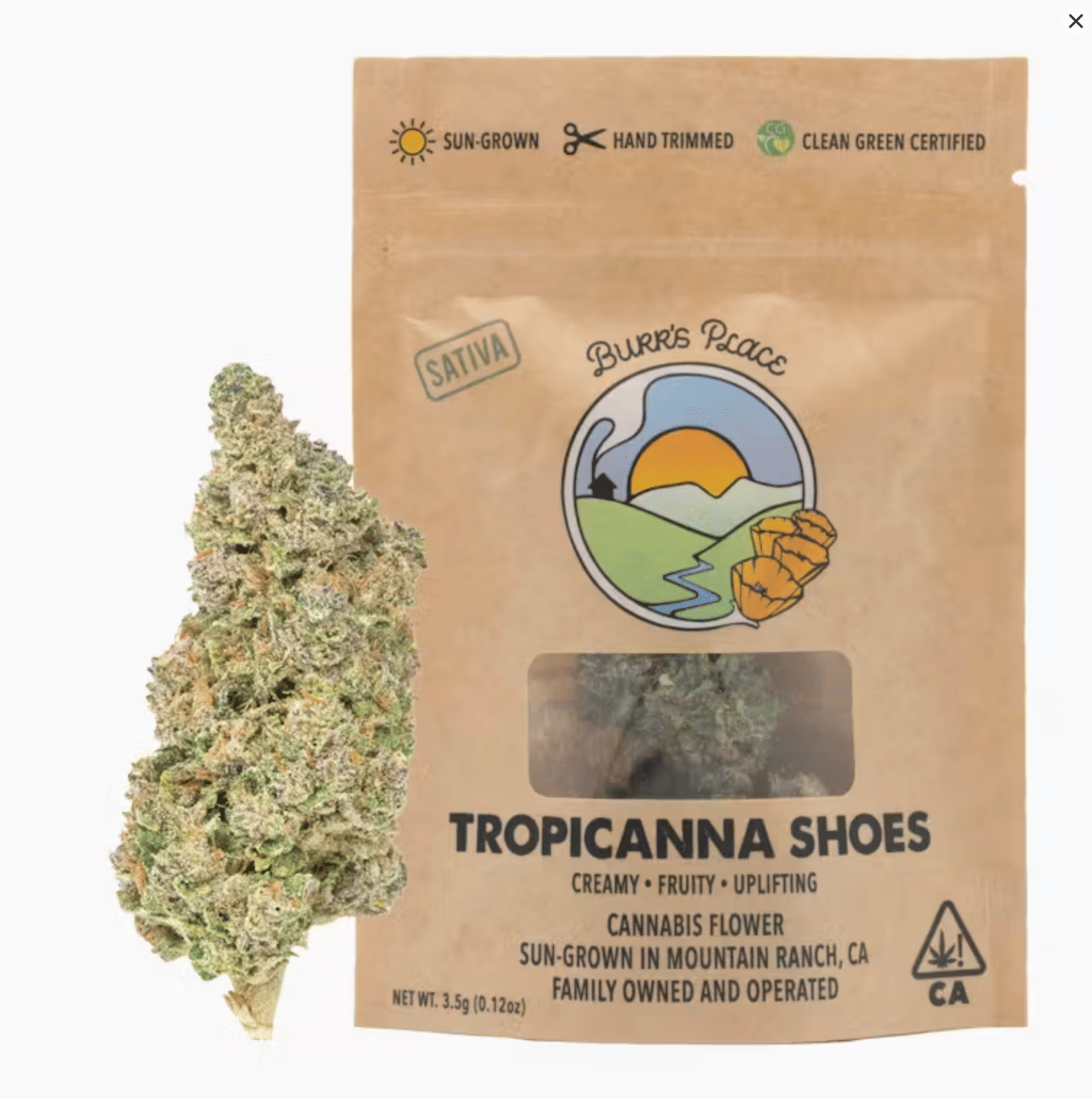 Burr's Place Organics: Tropicanna Shoes - Bigs