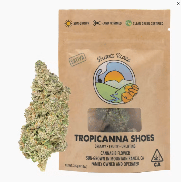 Burr's Place Organics: Tropicanna Shoes - Bigs