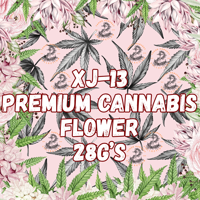 XJ-13 | Flower | 28g | Premium A-Buds