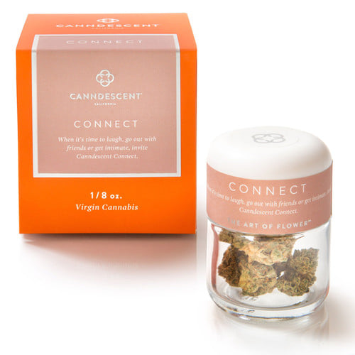 Canndescent: Citrus Carnival