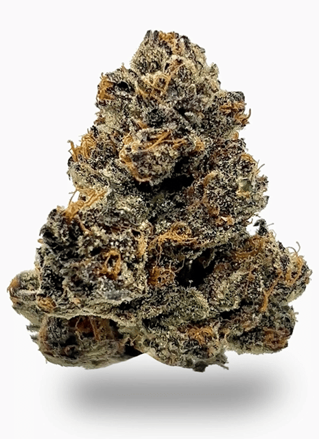 Tres Leches 7g