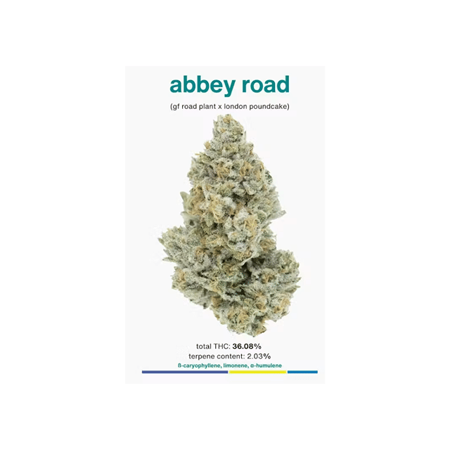 Abbey Road (1/8)