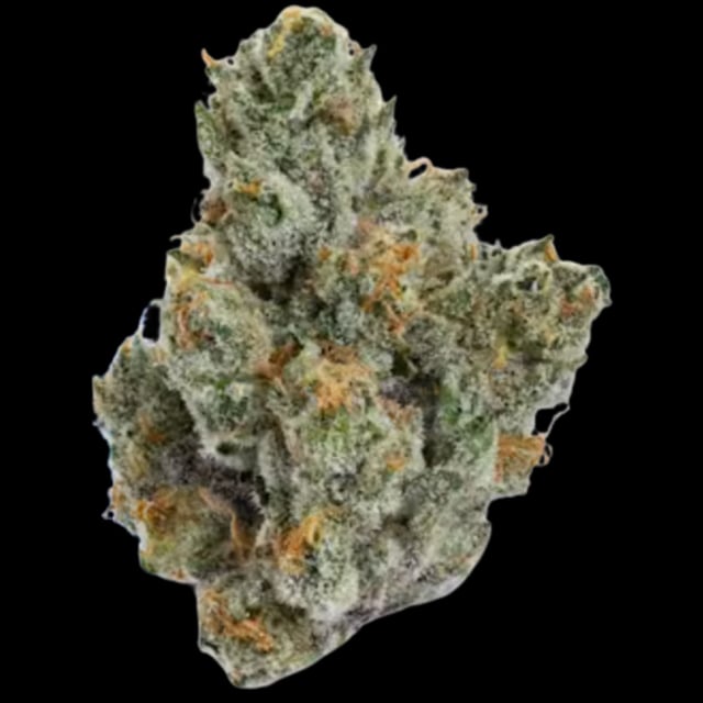 CAM: Lemon Tree