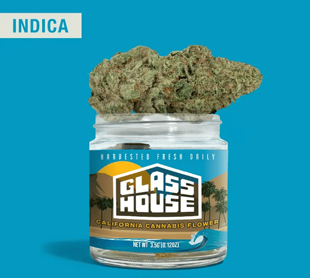 Glass House Farms: Ghf Jar - R*ntz X Jealousy
