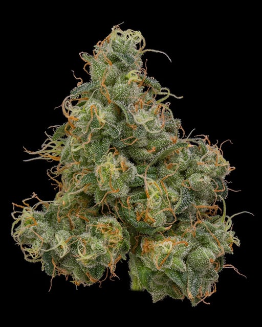 Durban Poison