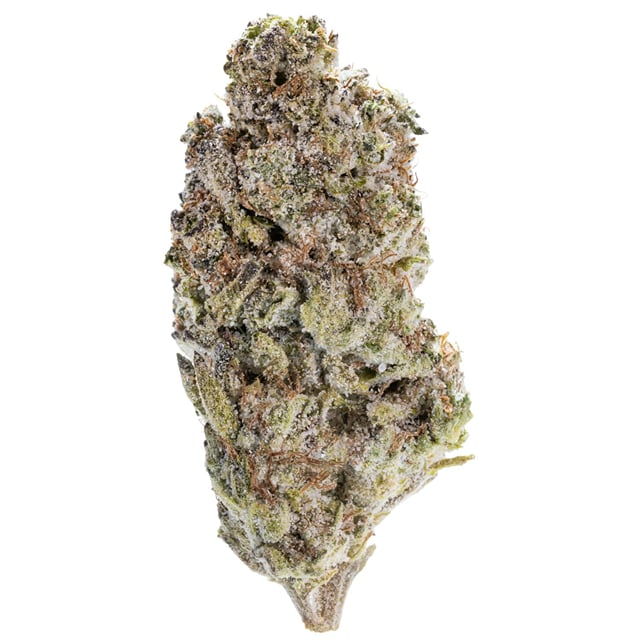 Condensed Milk - Diamond Infused Premium Flower - 7g