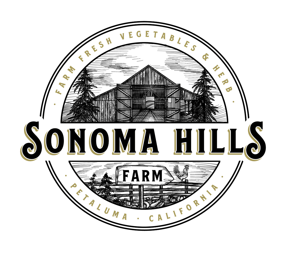 Sonoma Hills Farm: Root Beer