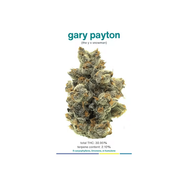 Gary Payton (1g)