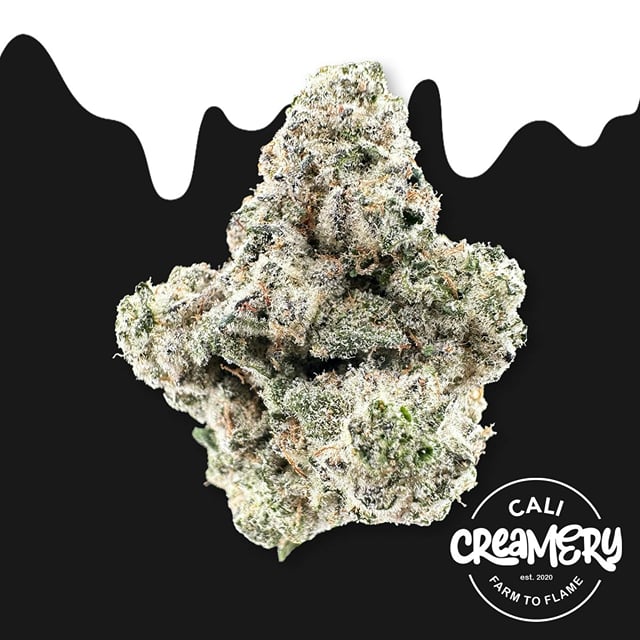 Golden Ticket | 3.5g