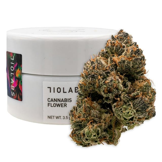 Garlic Cocktail #7(SH) - 3.5g- Premium Indoor Flower