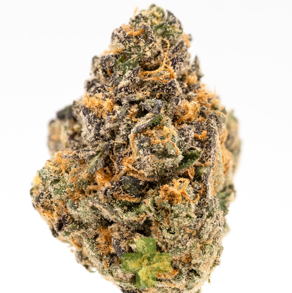 SEED JUNKY: Gas Face