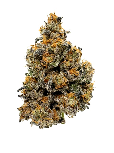 SATTVA | Rocket Pop | Premium Indoor | 4g
