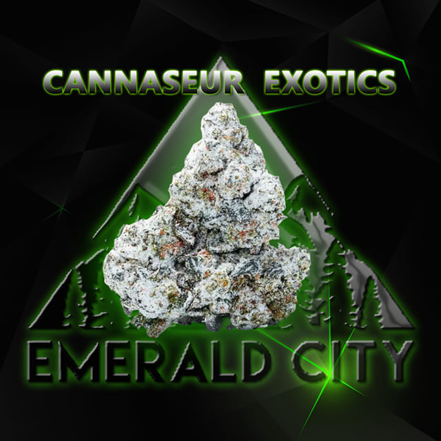 Emerald Elite - 1/8oz - Snow Cap - Game Changer (Cannasieur Exotics) - THC-A infused