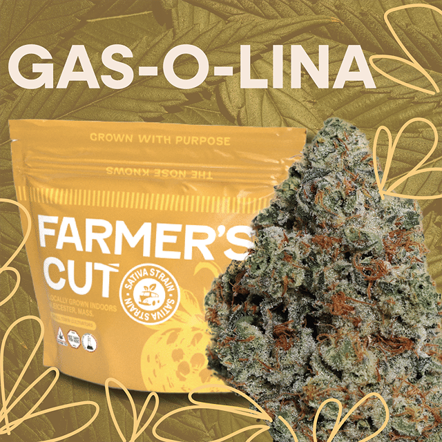 Gas-O-Lina