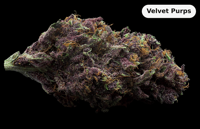 Velvet Purps 3.5g