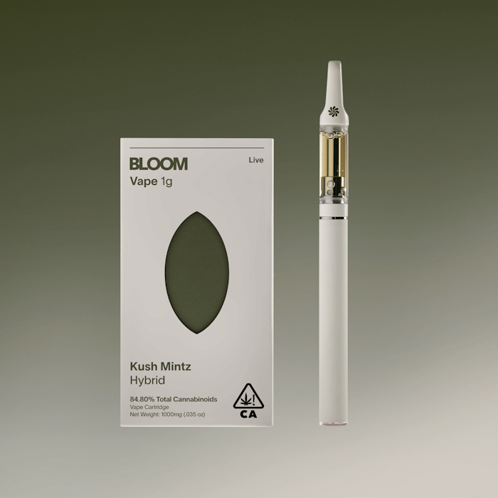 BLOOM: Kush Mintz
