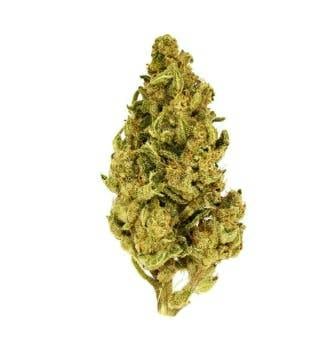 Maui Wowie | Buds | 28g