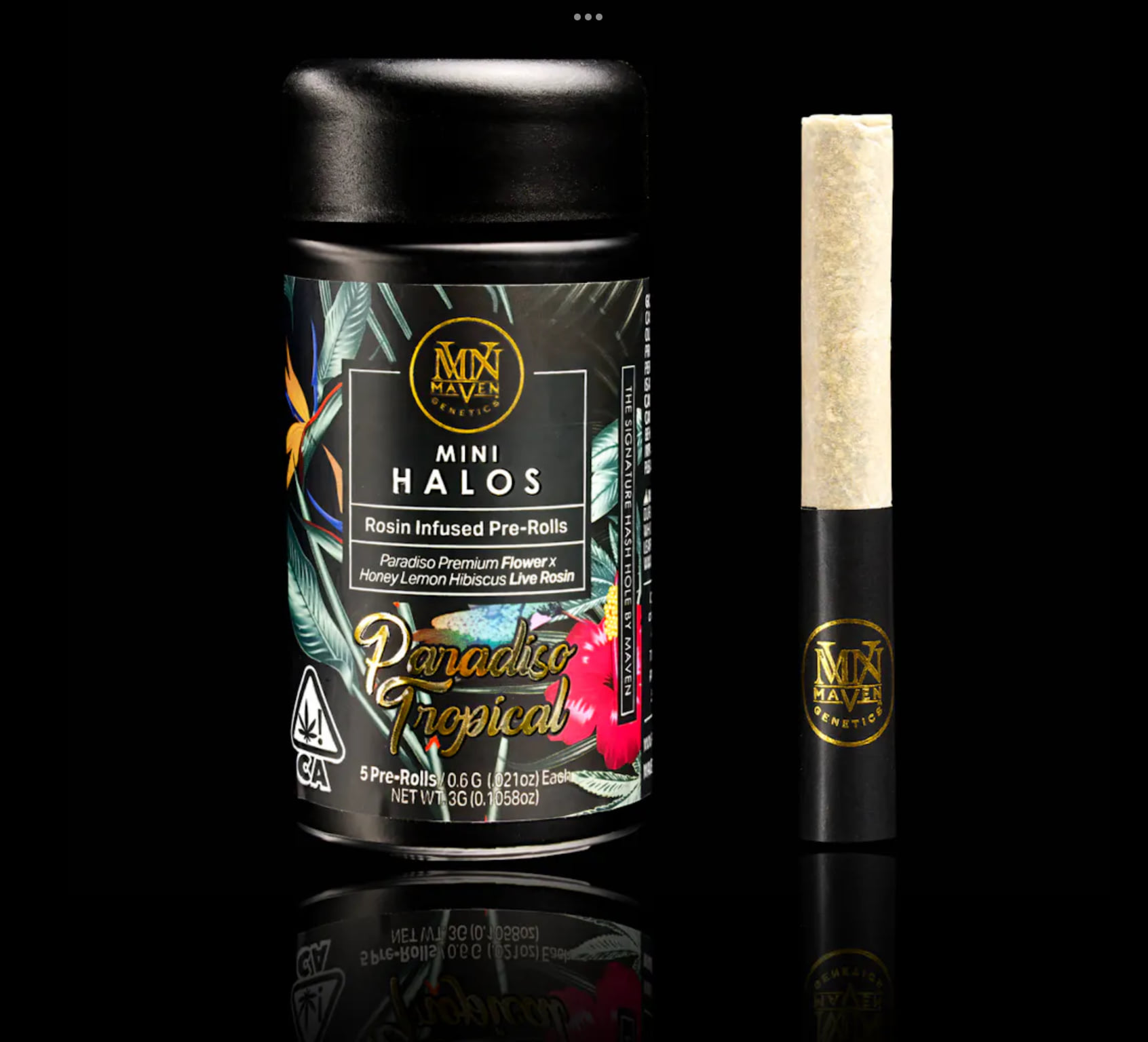 Maven: Paradiso Tropical Halo
