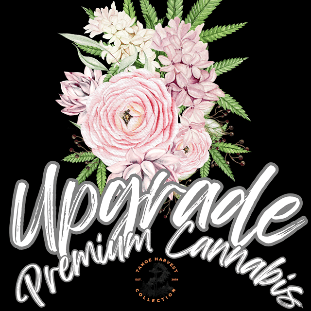 Upgrade | Flower | 28g | Premium A-Buds