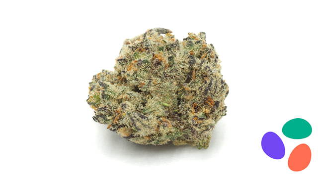 Bangkok Purple Premium Indoor (1/2oz)
