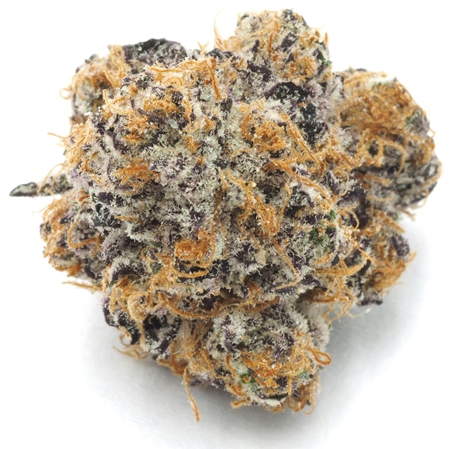 Inadaze | Garlic Slushie Premium 1/8