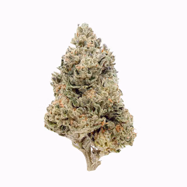 Platinum OG Pouch 28g